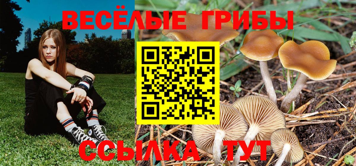 Десногорск  Галлюциногенные грибы GOLDEN TEACHER  как найти наркотики  Вход с VPN 